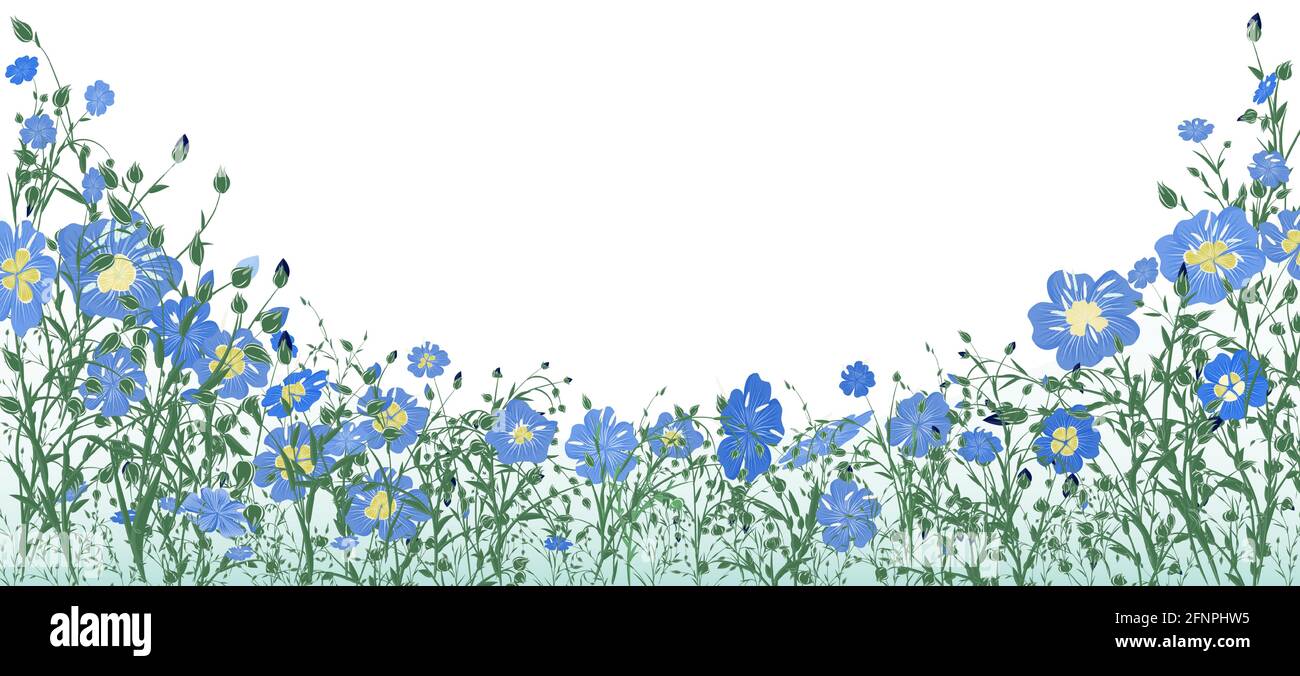 Prato e fiore panorama di fiori e boccioli di lino in forma di semicerchio per la progettazione di striscioni, cartoline, saluti o etichette tessili con Illustrazione Vettoriale