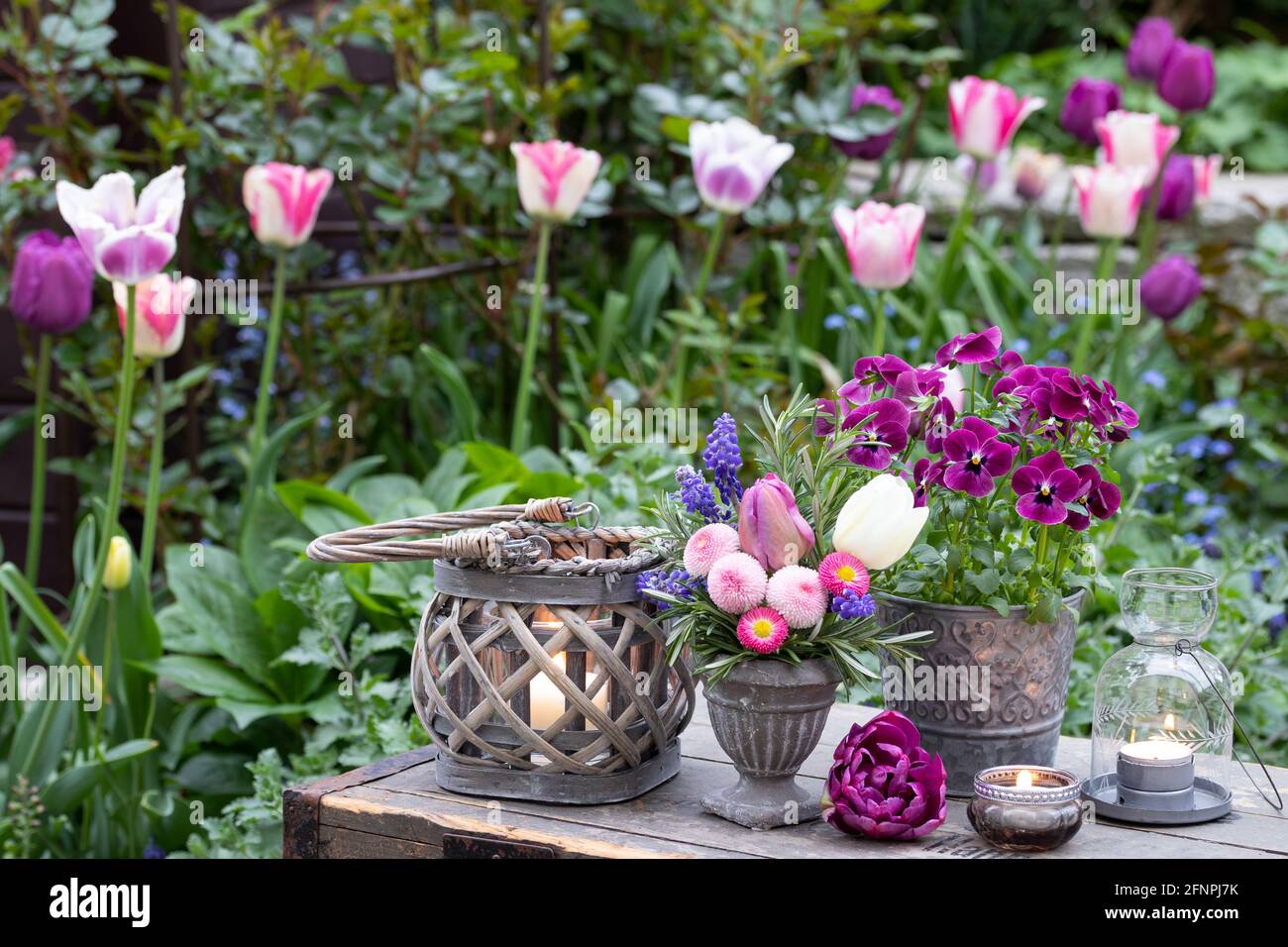 decorazione d'epoca con bouquet di fiori rosa bellis, tulipani e fiore di viola in giardino primaverile Foto Stock