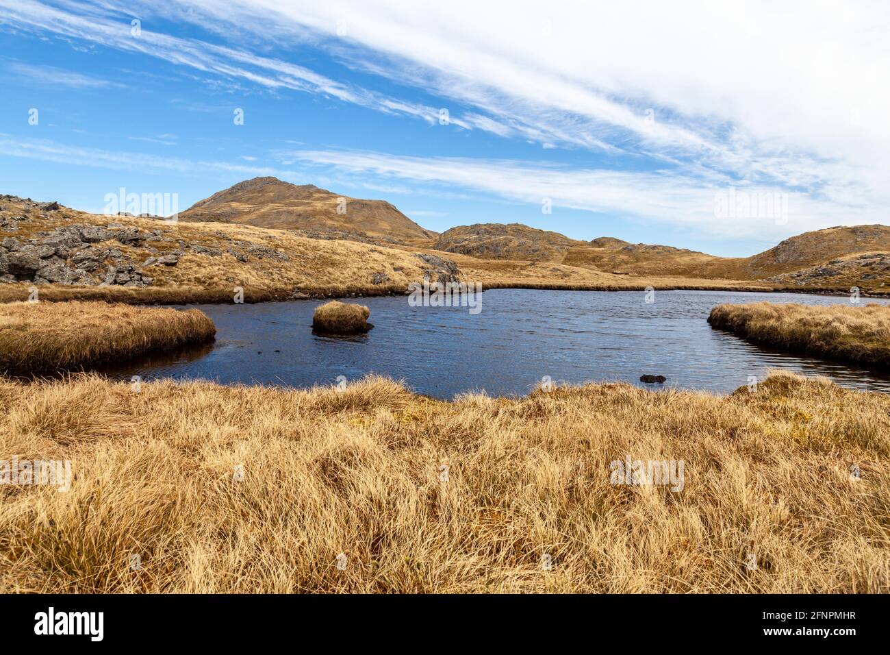 Guardando verso la cima di Arenig Fawr, una delle tante montagne che si trovano nel Parco Nazionale di Snowdonia, Galles Foto Stock