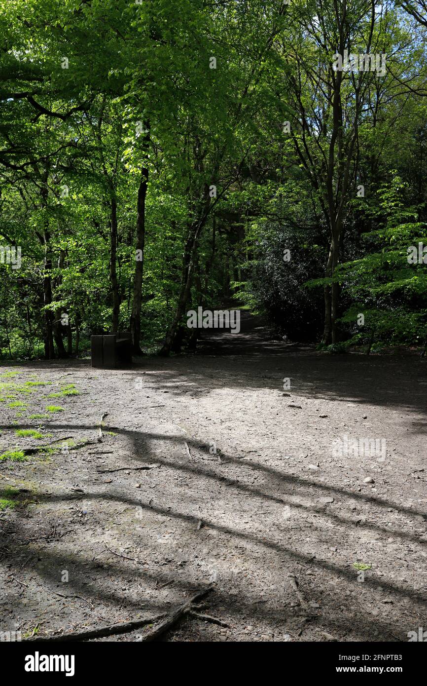 Hirst Wood, a Saltaire, Bradford Foto Stock