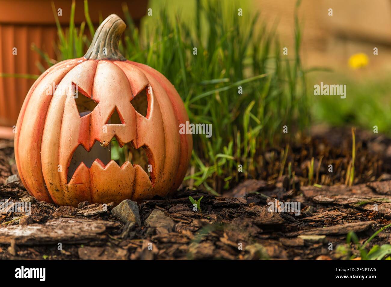 Candelabro in ceramica a forma di zucca su erba verde. Divertente zucca intagliata nel giardino, sfondo halloween Foto Stock