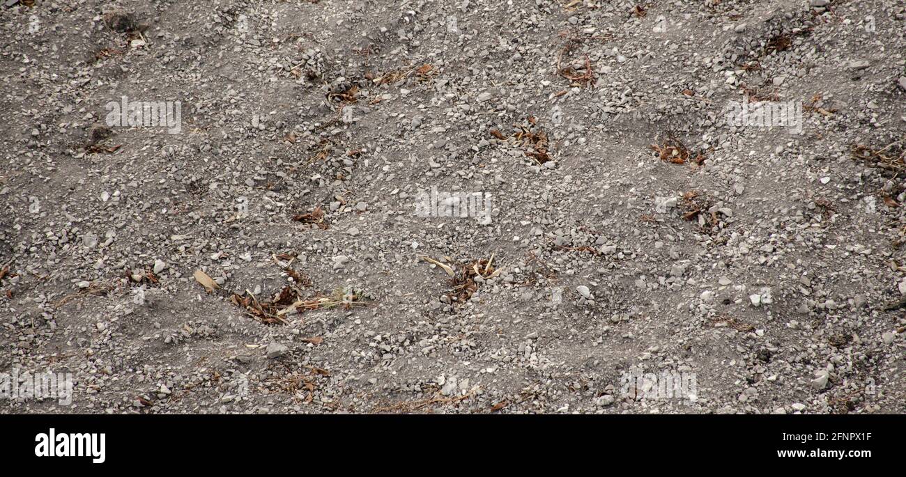 Orto giardino campo immagine di sfondo di calcare calcareo terreno con motivi di tessitura. Difficoltà nella coltura di suolo. Agricoltura Foto Stock