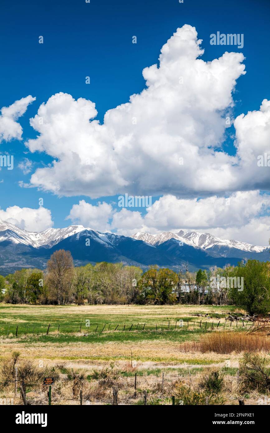 Primavera panorama di picchi collegiale; montagne rocciose; central Colorado; USA Foto Stock