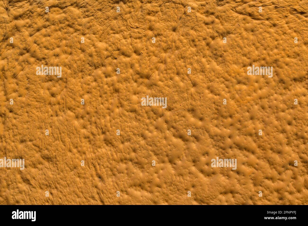 intonaco sculpturesque arancio con intaccatura decorativa finitura murale texture e. sfondo Foto Stock