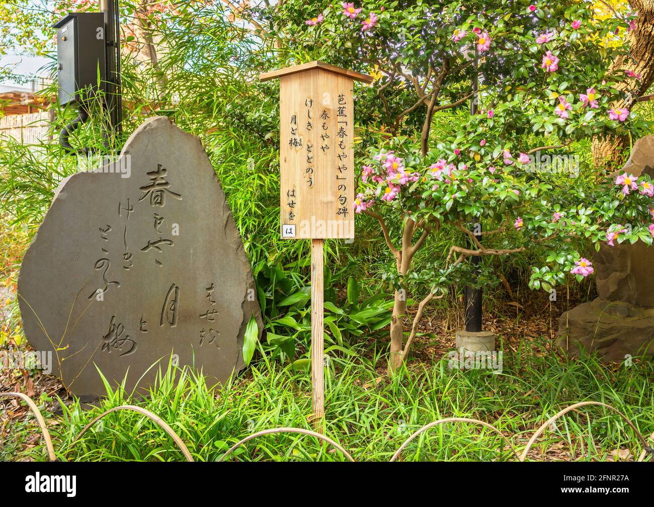 tokyo, giappone - novembre 13 2020: Stele di Kuhi in pietra giapponese dedicata al poema di Haiku harumoyaya, che significa l'apice primaverile scritto dal poeta Matsuo Basho Foto Stock