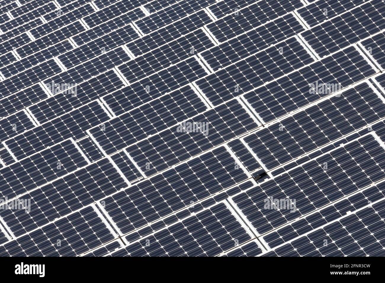 Un ampio campo con moduli fotovoltaici per la generazione di energia solare Foto Stock
