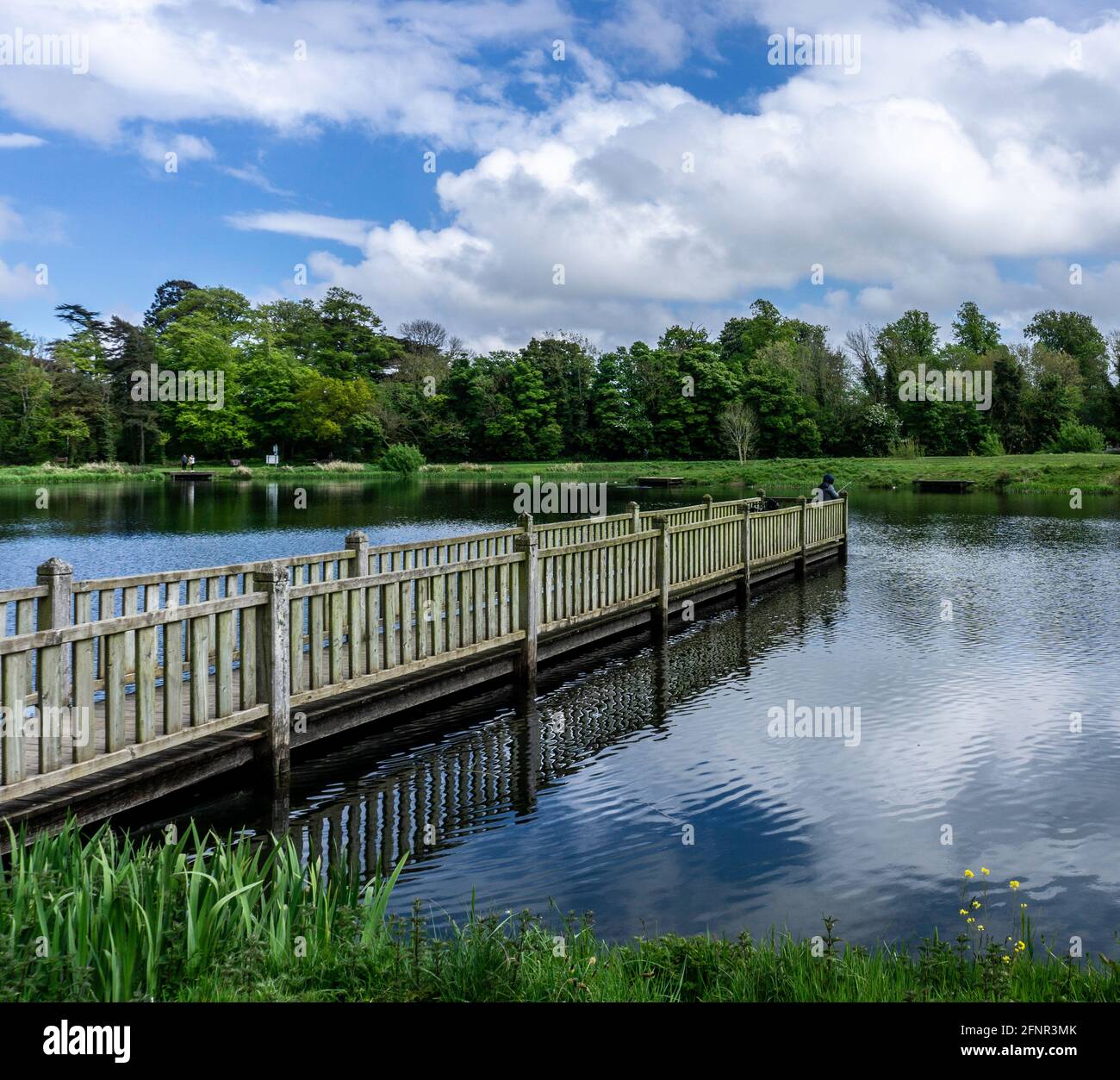 Il lago di pesca nel parco di Corcagh, Clondalkin, Dublino, Irlanda. Foto Stock