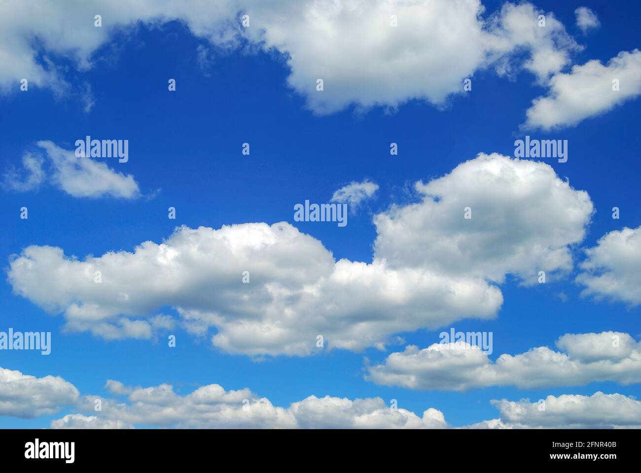 Cielo blu e nuvole cumulus, Maidenhead, Berkshire, Inghilterra, Regno Unito Foto Stock