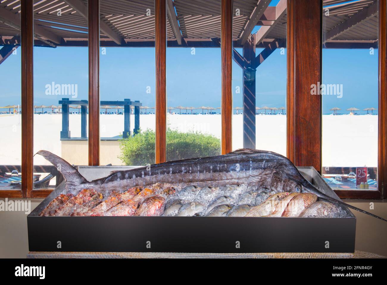 Enorme pesce spada in mostra in un ristorante sulla spiaggia. Foto Stock