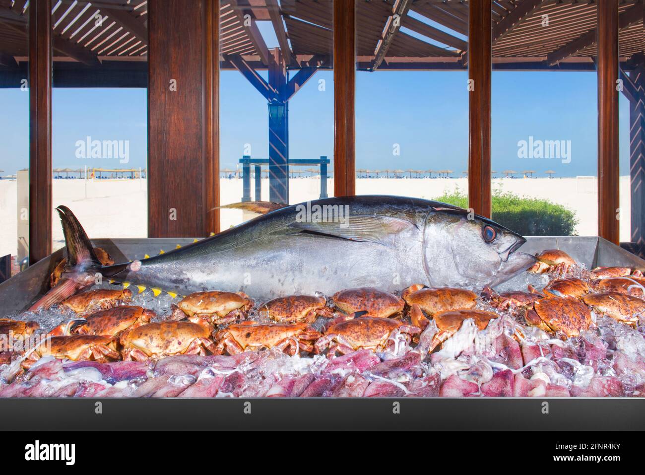 Enorme tonno intero in mostra in un ristorante sulla spiaggia. Foto Stock