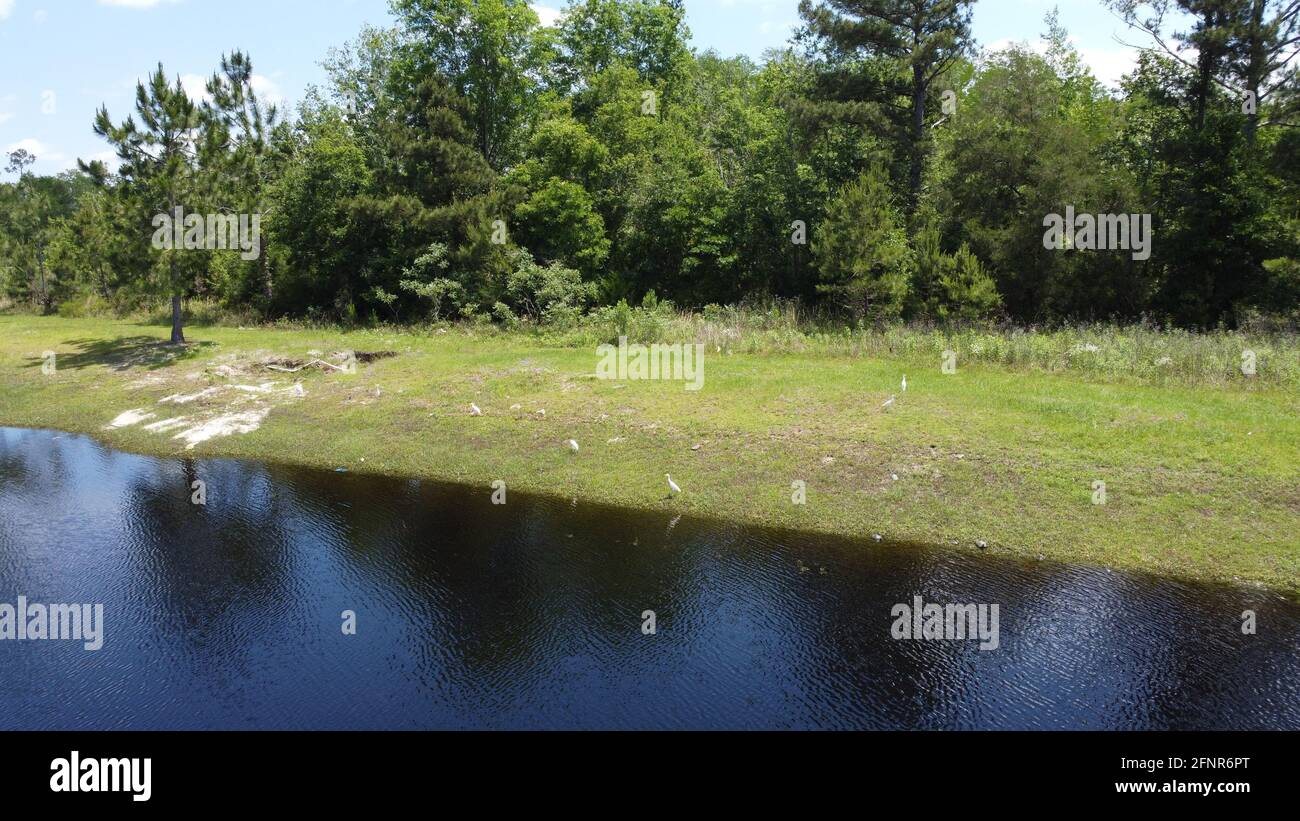 Foto aerea delle caratteristiche dell'acqua in Florida scattata dal drone in 4k Foto Stock