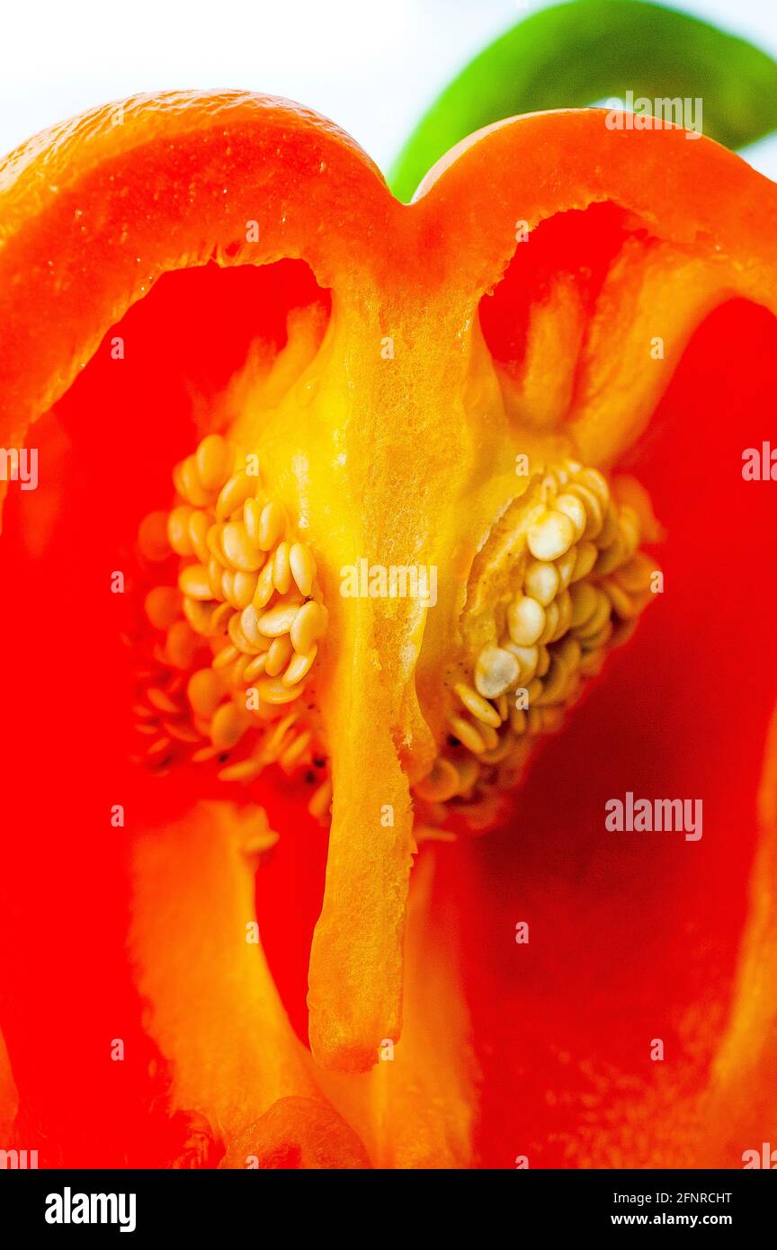 Das Innere einer roten Paprika. Foto Stock