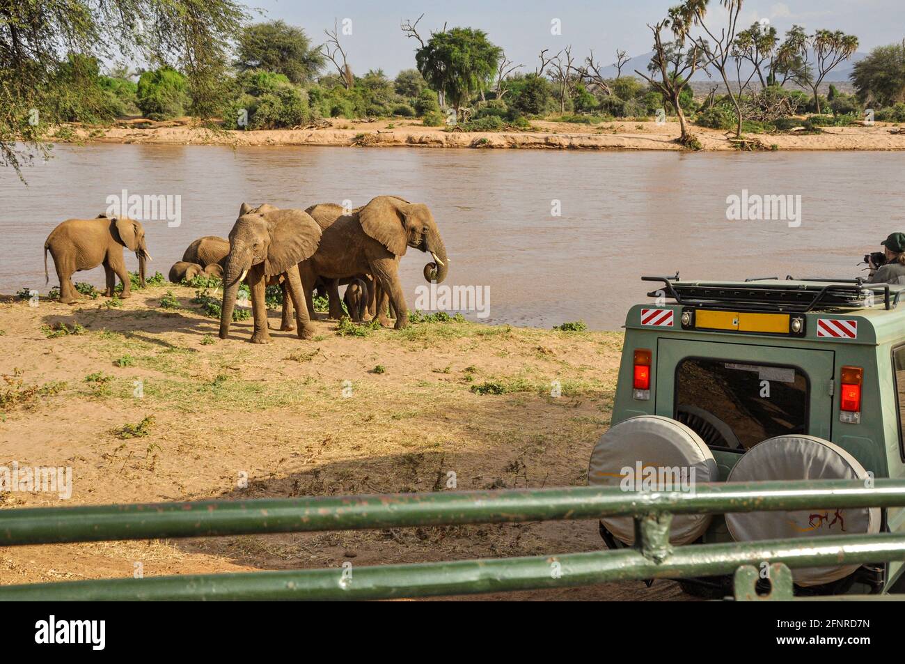 safari veicoli con turisti che guardano elefanti al Samburu National Riserva vicino al fiume Foto Stock