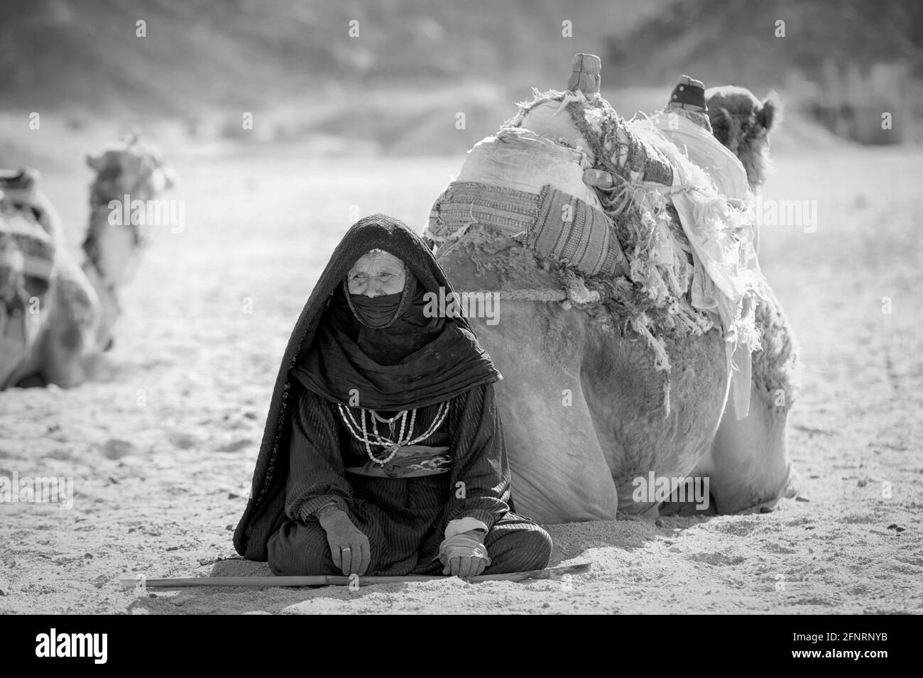 Accampamento beduino nel deserto del Sahara vicino a Hurghada. Egitto Foto Stock