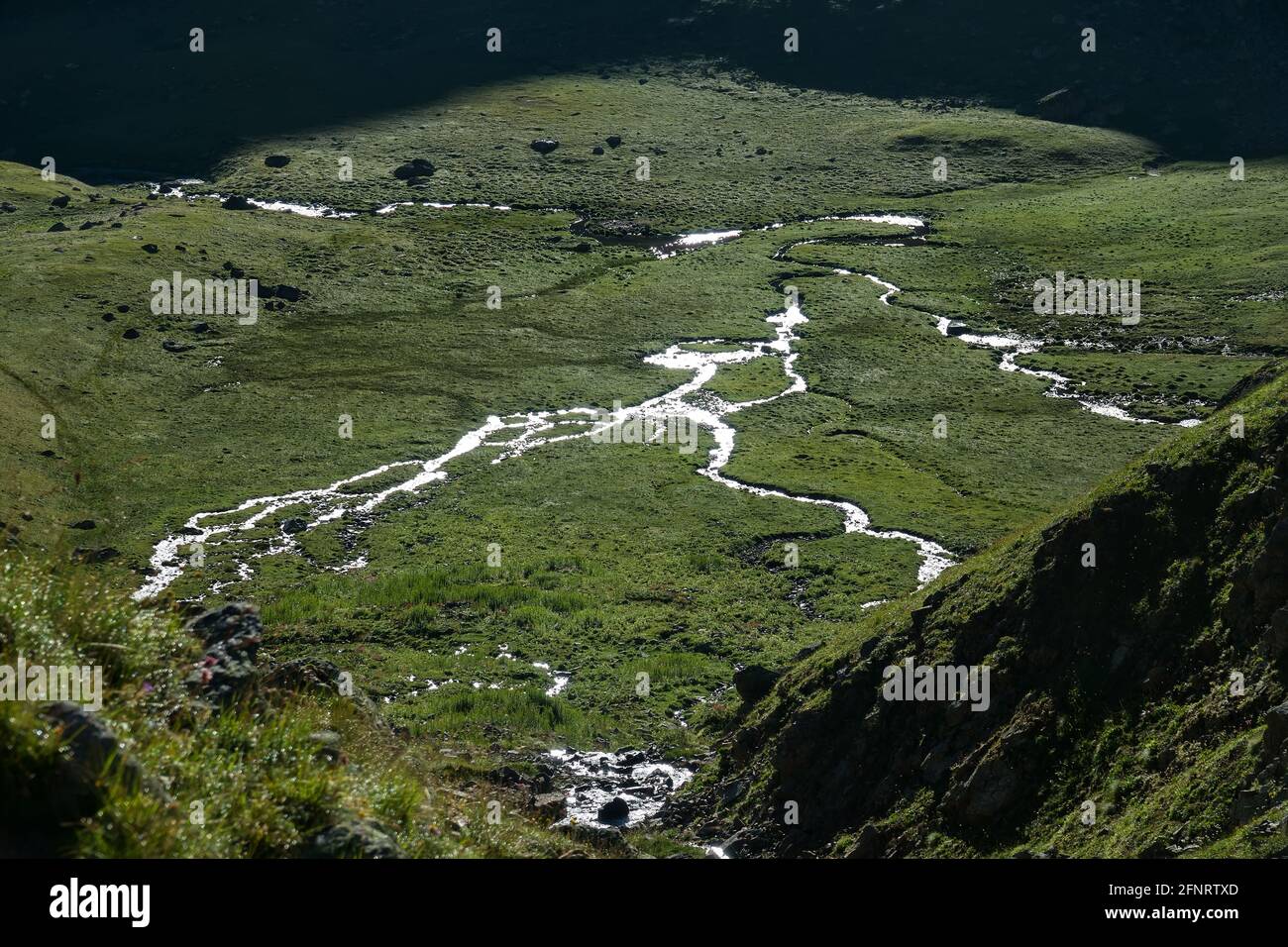 Un meandri e dividente fiume di montagna all'ingresso della pianura. I letti del fiume creano un bel modello nella luce del sole contornata Foto Stock