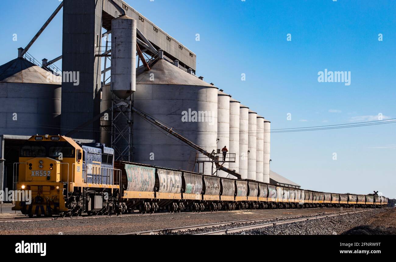 Industria rurale in Australia rurale . Un treno di trasporto che è caricato con grano nella Victoria rurale. Foto Stock