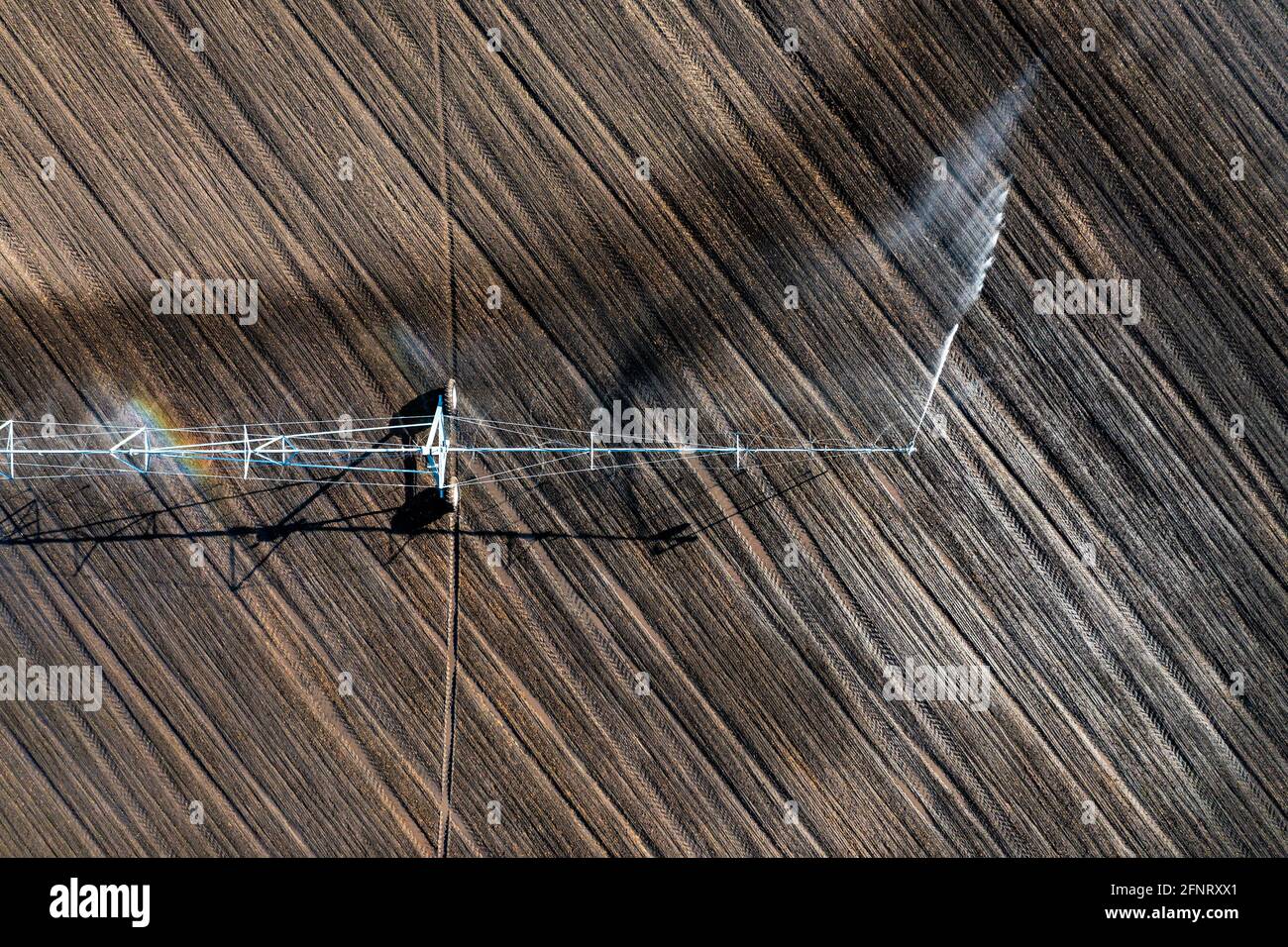 Un impianto sprinkler di irrigazione a campo consente di annaffiare file di campi coltivati su terreni agricoli. Sistema di irrigazione perno centrale Foto Stock