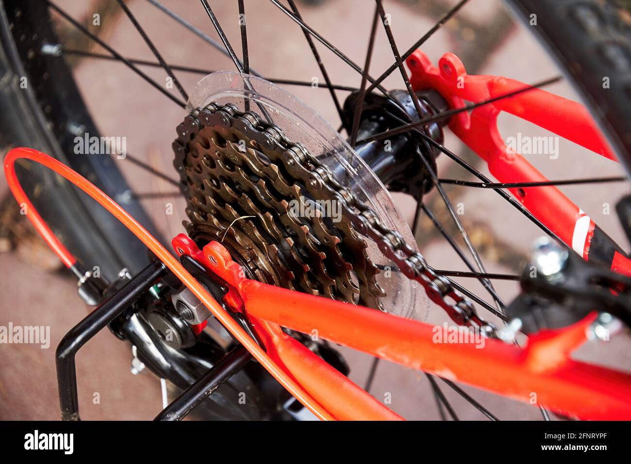 Primo piano: Vista dell'attrezzatura metallica per bicicletta sulla ruota posteriore di una mountain bike. Tecnologia e attrezzature tecniche e sportive Foto Stock