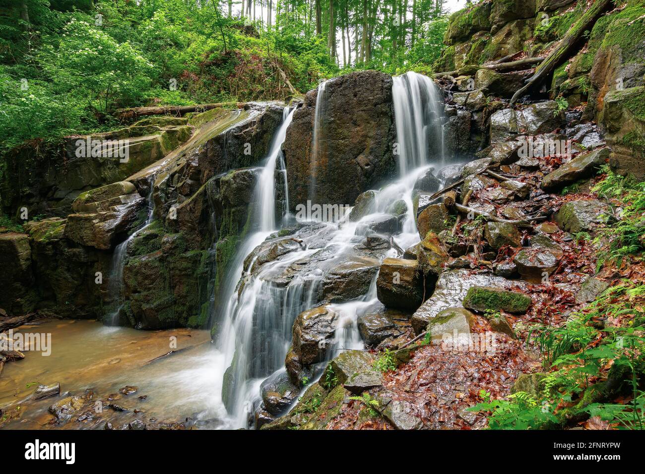 scenario naturale con cascata in primavera. potente flusso d'acqua nella faggeta Foto Stock