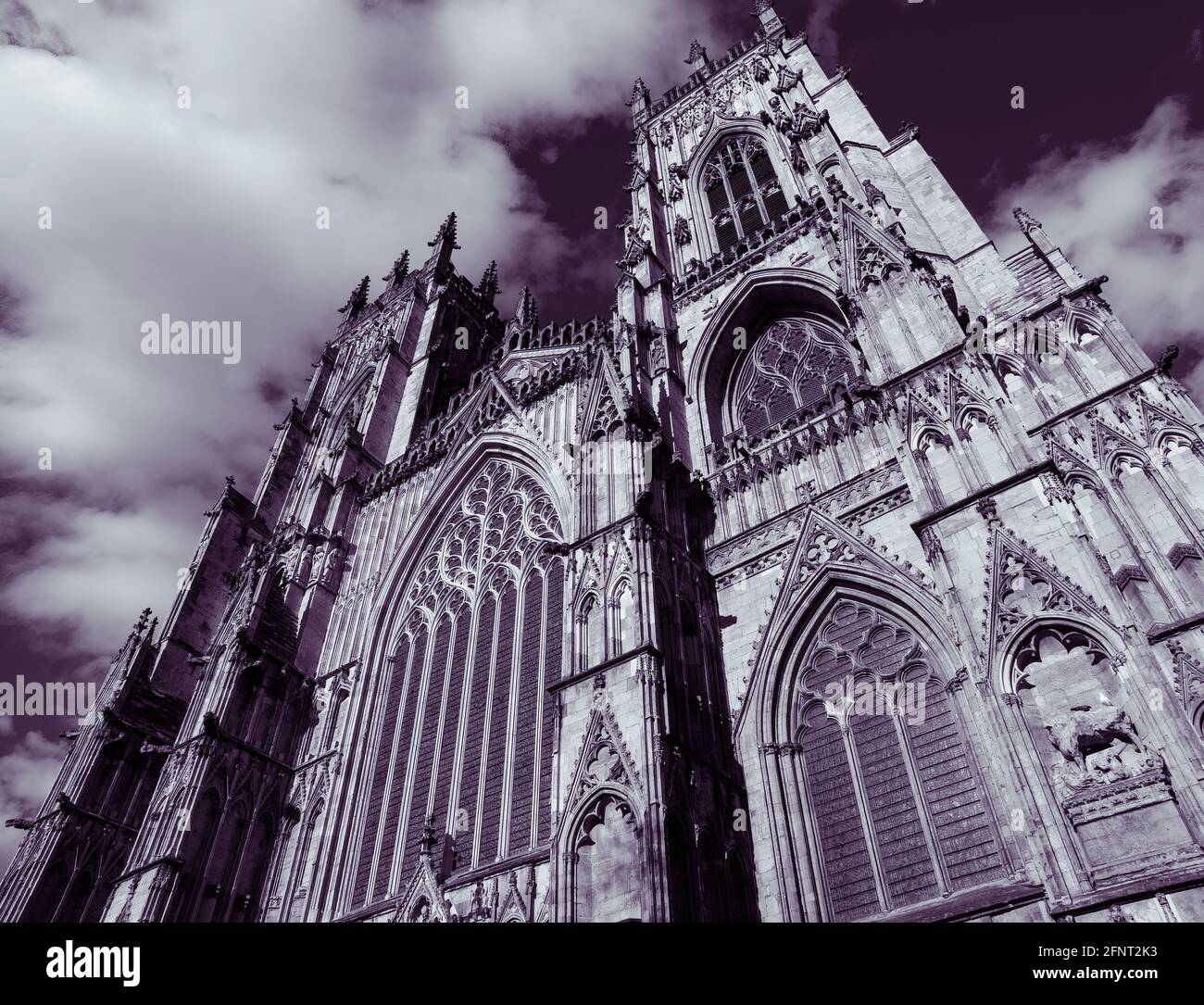 Guardando verso l'alto le vertiginose altezze della parete ovest di York Minster. Immagine duotono. Foto Stock