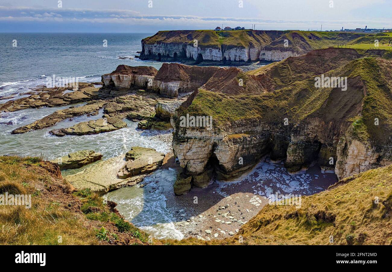 Flamborough Head è una delle zone più spettacolari di scogliere di gesso in Gran Bretagna. Lungo la costa ci sono anche calette, grotte marine e cataste. Foto Stock
