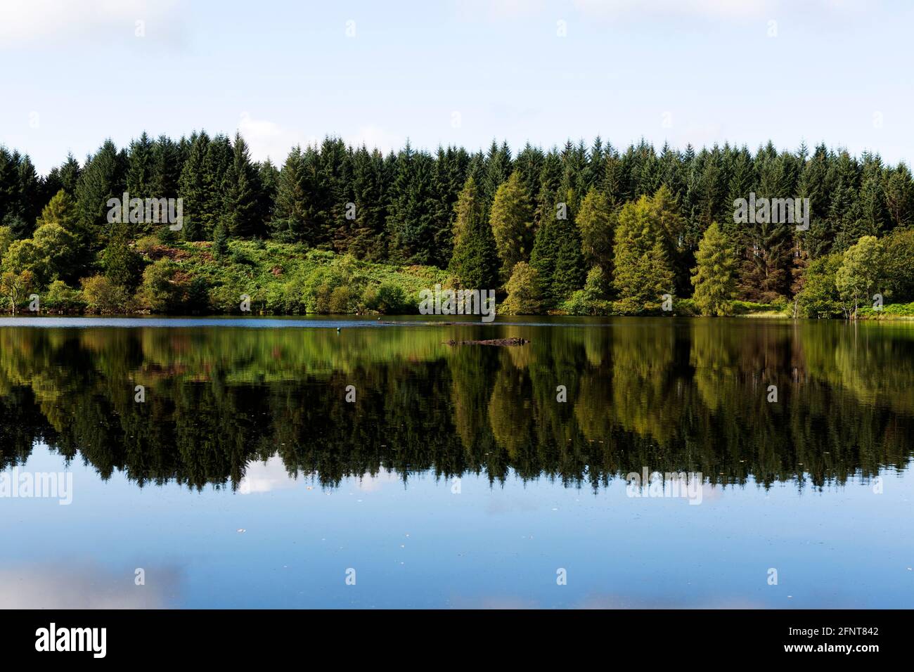 Gli alberi si riflettono sulla superficie del lago Windermere in Cumbria, Inghilterra. Il corpo d'acqua si trova nel distretto dei laghi inglesi. Foto Stock