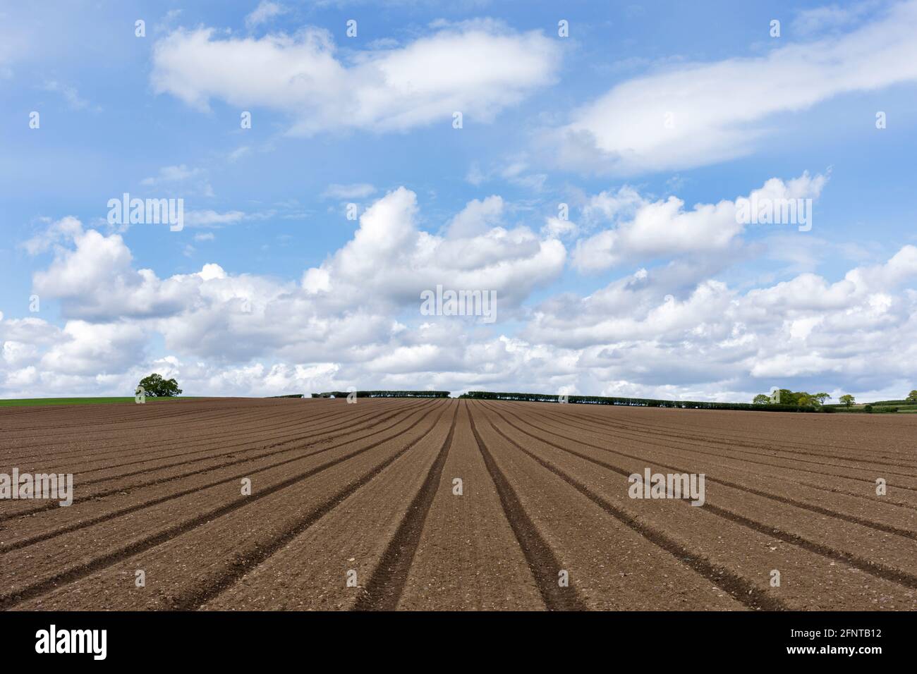 Un campo arato vicino Alcester nel Warwickshire. Foto Stock