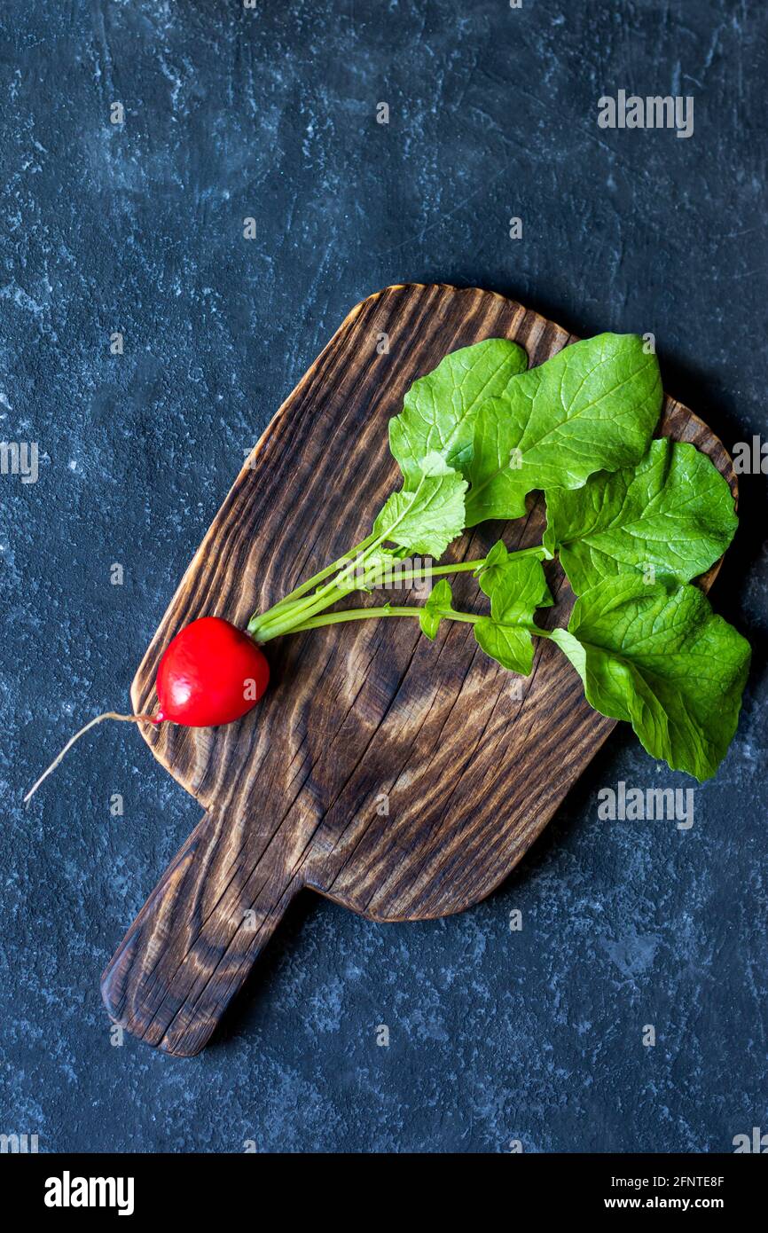 Ravanello fresco giardino con foglie di fattoria biologica su sfondo scuro. Vista dall'alto con spazio per la copia Foto Stock