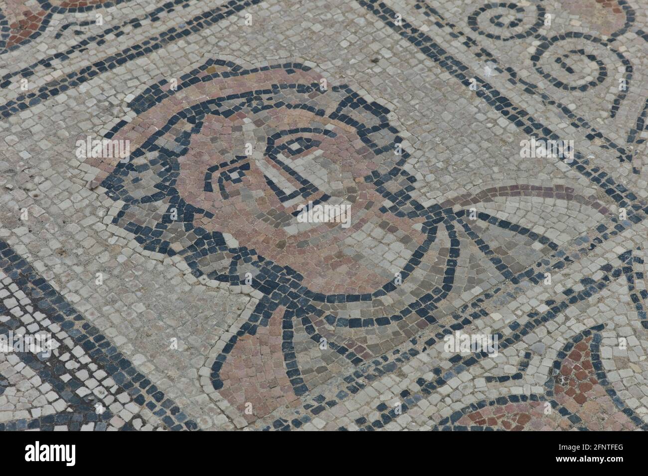 Parte di un pavimento a mosaico in un sito archeologico di Volubilis in Marocco Foto Stock