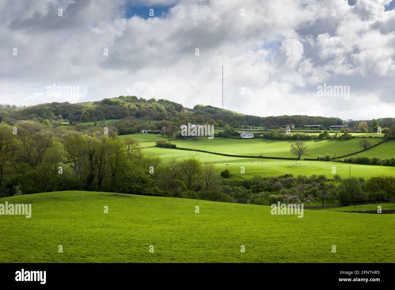 Upper Milton sotto il Mendip Transmitter nel Mendip Hills National Landscape dalla West Mendip Way, Somerset. Inghilterra. Foto Stock