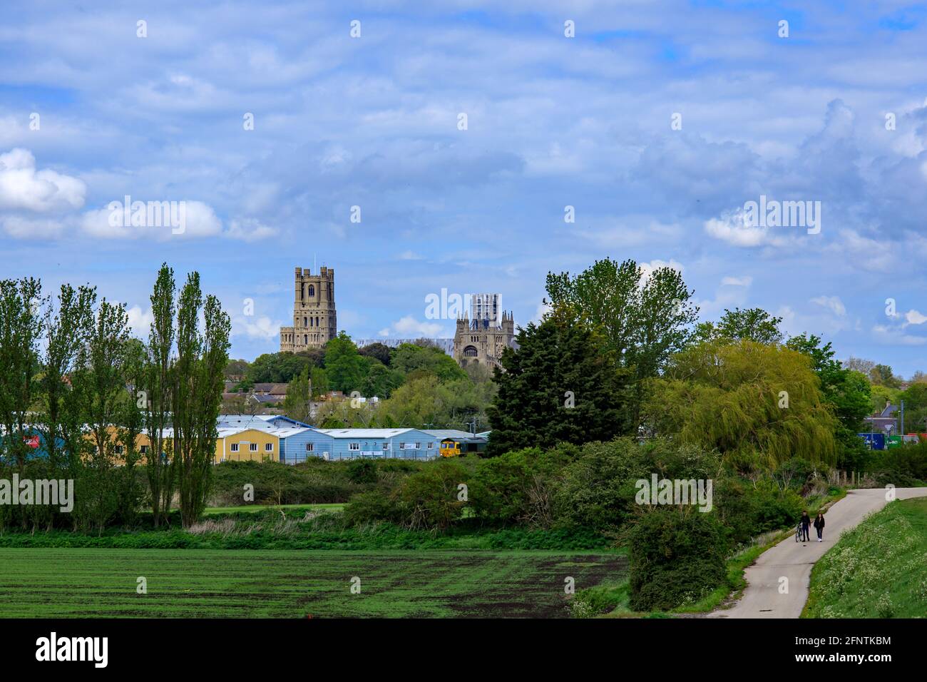 Vista della Cattedrale di Ely attraverso il parco d'affari nella campagna fuori Ely, Cambridgeshire, Inghilterra, Regno Unito Foto Stock