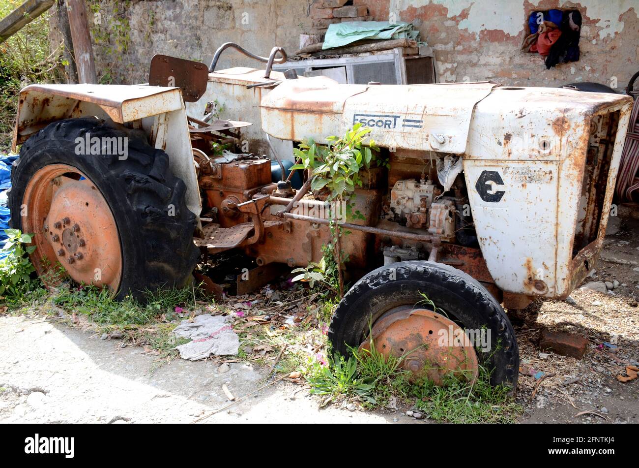 il vecchio trattore di colore arancione bianco si trova nella terra di casa. Foto Stock