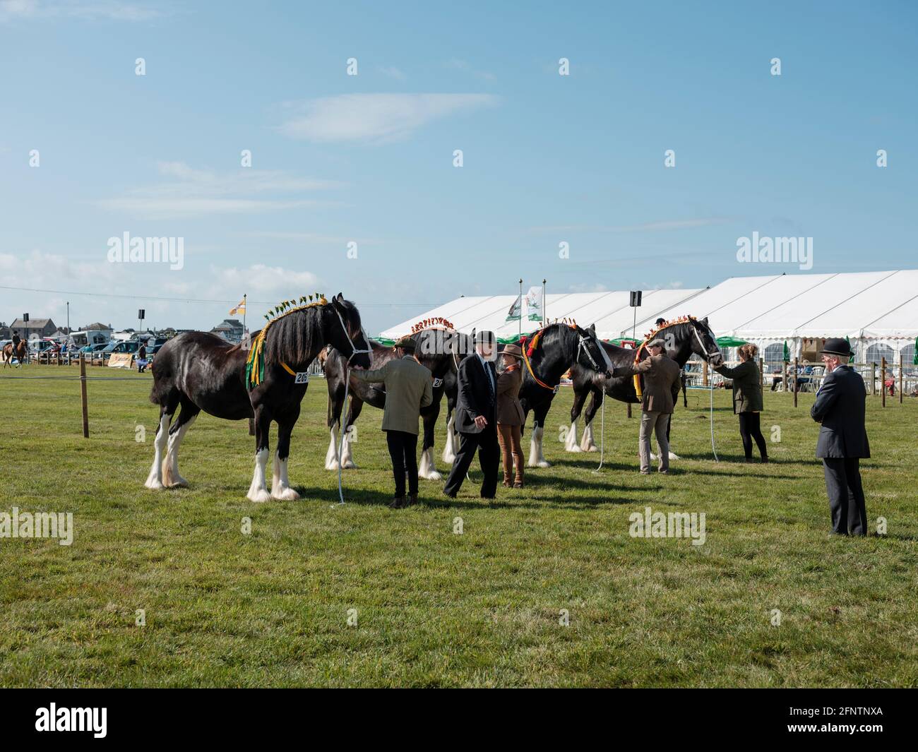 I cavalli Clydesdale sottoposti a controllo da parte di giudici al Melplash Agricultural Society Show presso il West Bay Show Grounds di Bridport, Dorset, Regno Unito, Foto Stock