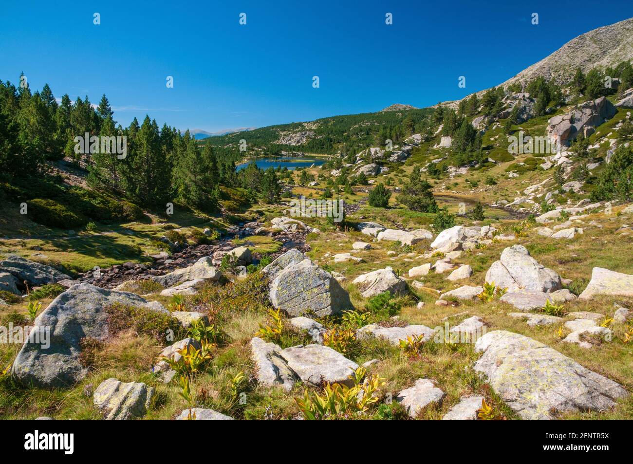 Il lago ‘etang Llong’, parte dei laghi Bouillouses, un sito naturale nella regione di Capcir, Parco Naturale Regionale dei Pirenei Catalani, Pirenei Orientali Foto Stock