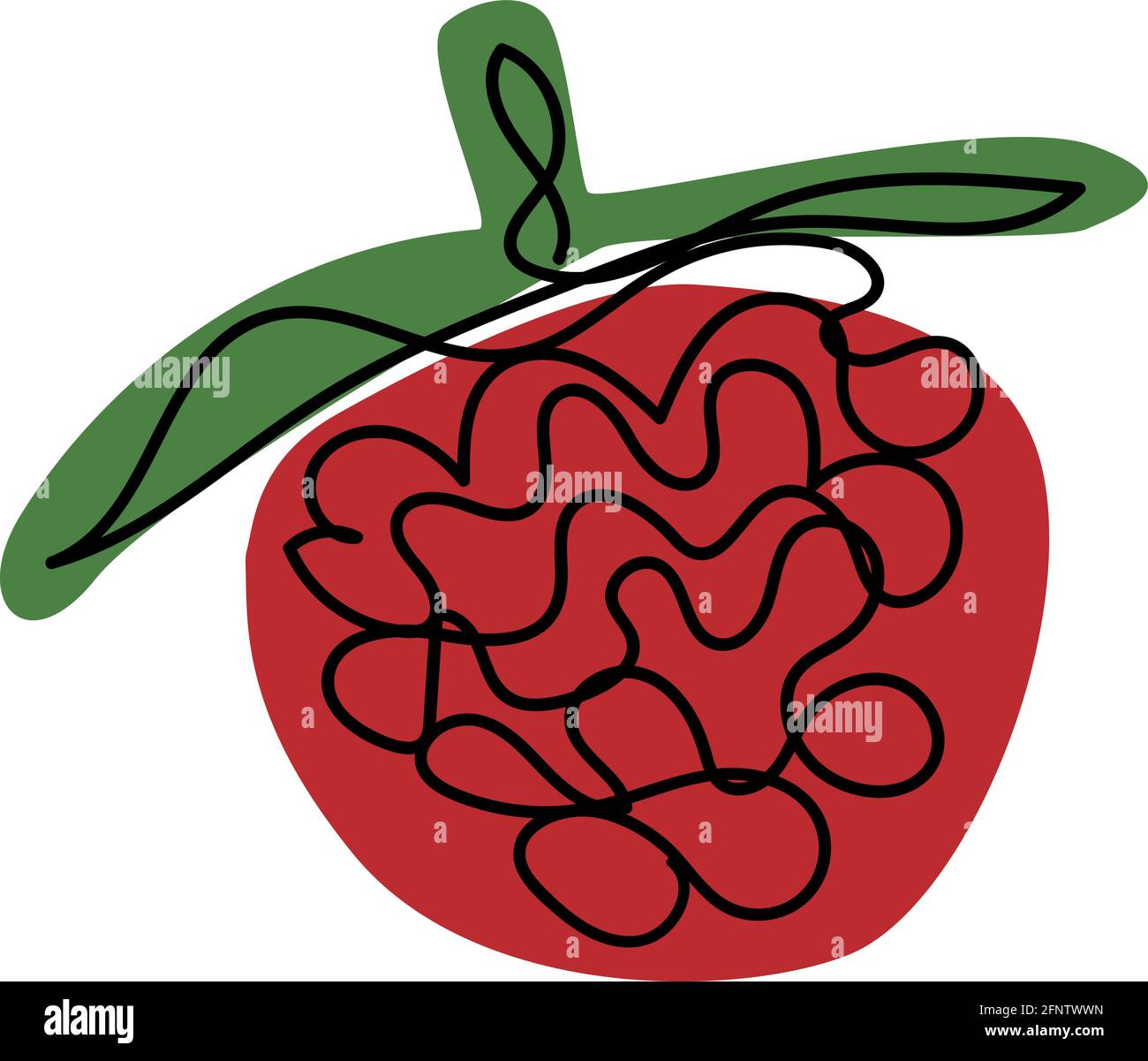 Linea art lampone. Illustrazione vettoriale. Illustrazione Vettoriale