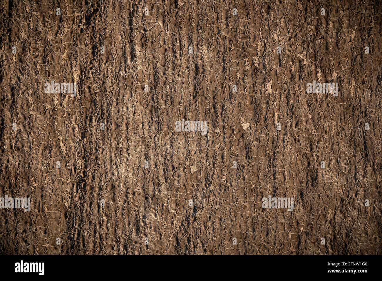 Sfondo marrone naturale invecchiato da fenomeni naturali e dal tempo. Rivestimento per costruzioni. Foto Stock