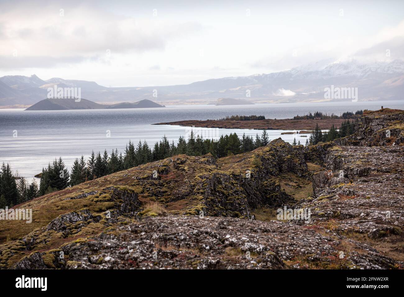 Parco nazionale di Thingvellir, Circolo d'Oro, Islanda Foto Stock