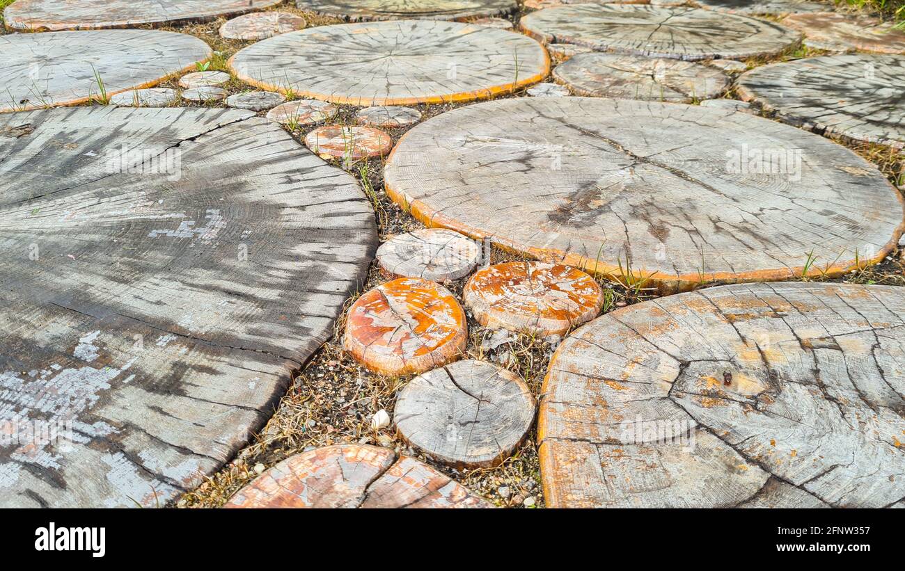 Passerella lastricata con sabbia e erba verde. Modello di albero Foto Stock
