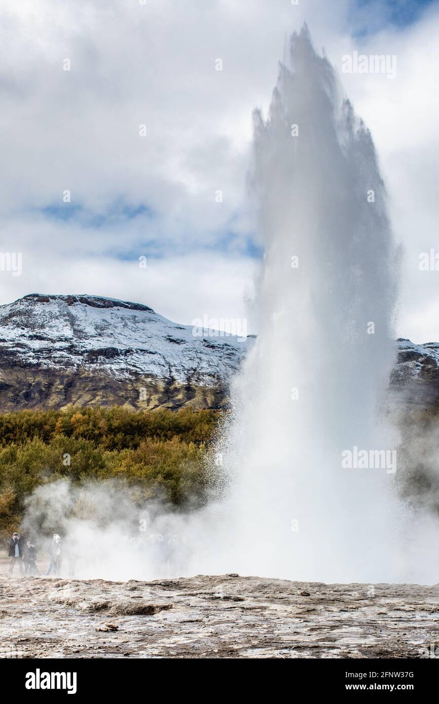 Strokkur Geysir, zona geotermica, Circolo d'Oro, Islanda Foto Stock