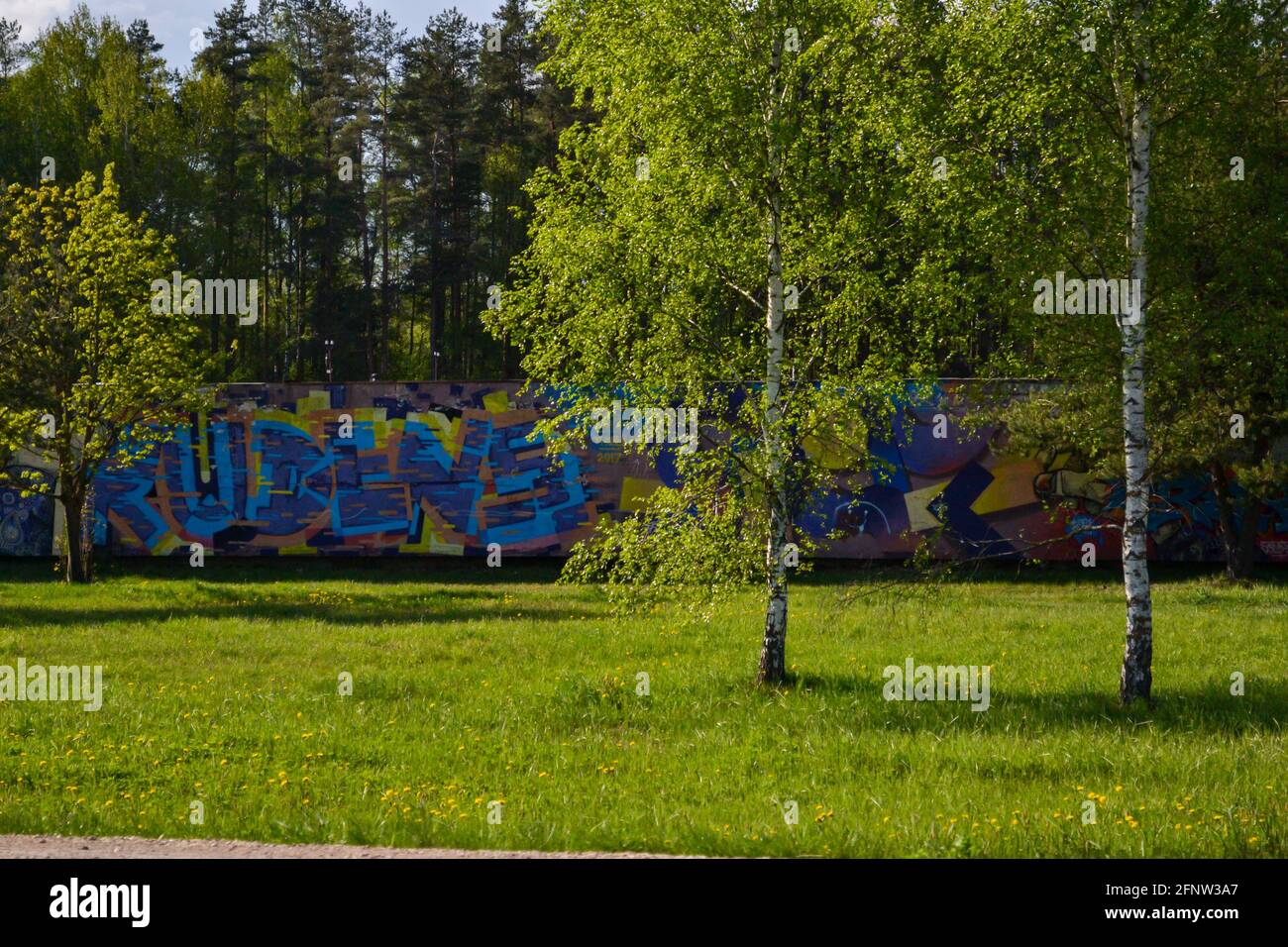 Verde foglia fioritura alberi su un muro di cemento contrassegnato con graffiti Foto Stock