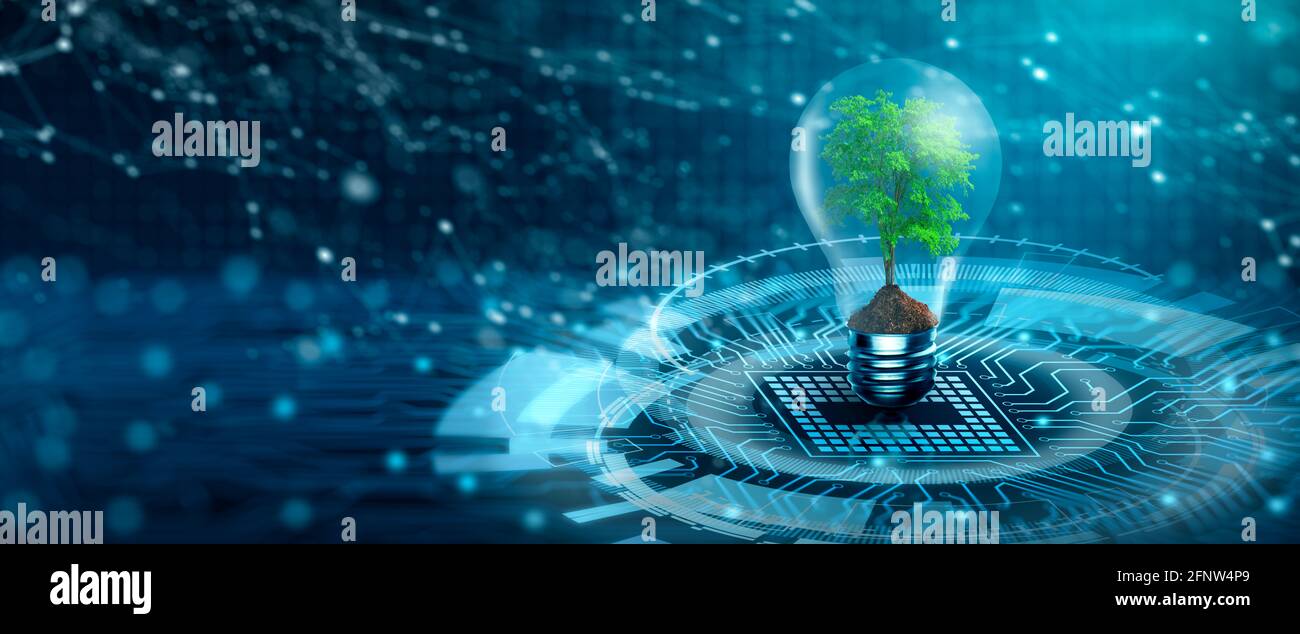 Albero con suolo che cresce su lampadina. Convergenza digitale e convergenza tecnologica. Luce blu e sfondo di rete. CSR, etica. Foto Stock
