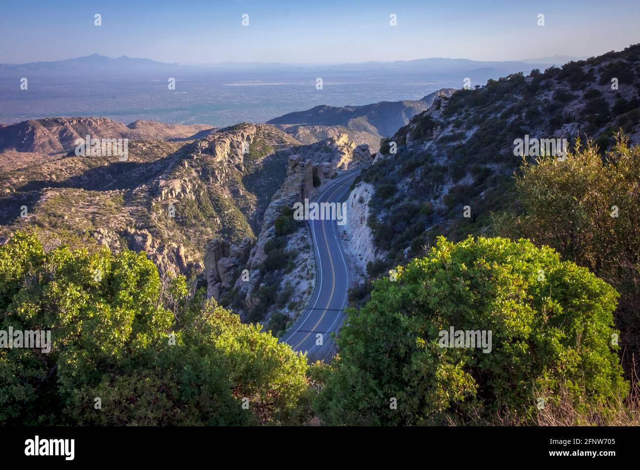 Mount Lemmon Highway, vicino a Tucson, Arizona, Stati Uniti Foto Stock