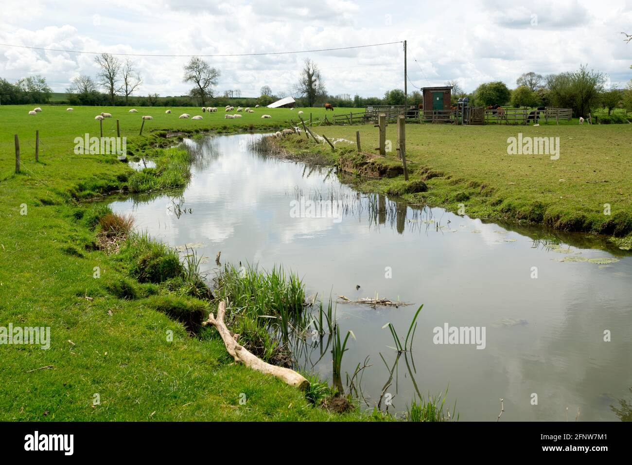 The River Swift at Churchover, Warwickshire, Inghilterra, Regno Unito Foto Stock