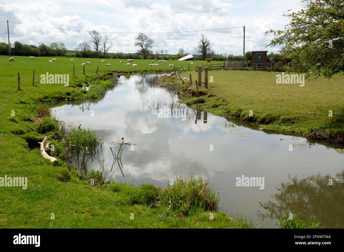 The River Swift at Churchover, Warwickshire, Inghilterra, Regno Unito Foto Stock