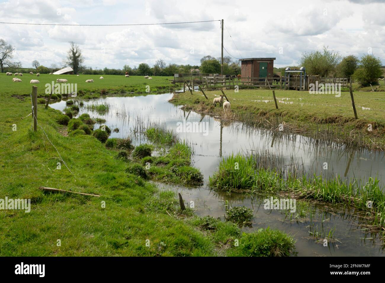 The River Swift at Churchover, Warwickshire, Inghilterra, Regno Unito Foto Stock