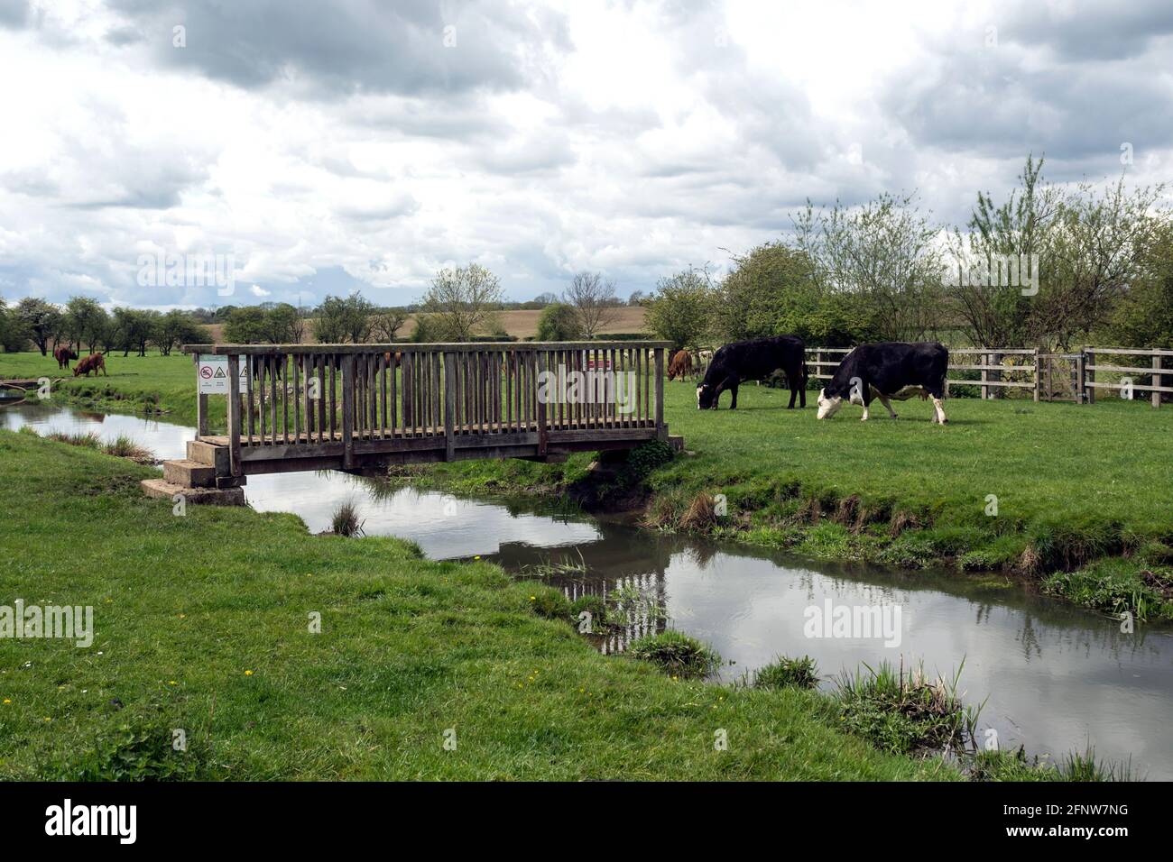 The River Swift at Churchover, Warwickshire, Inghilterra, Regno Unito Foto Stock