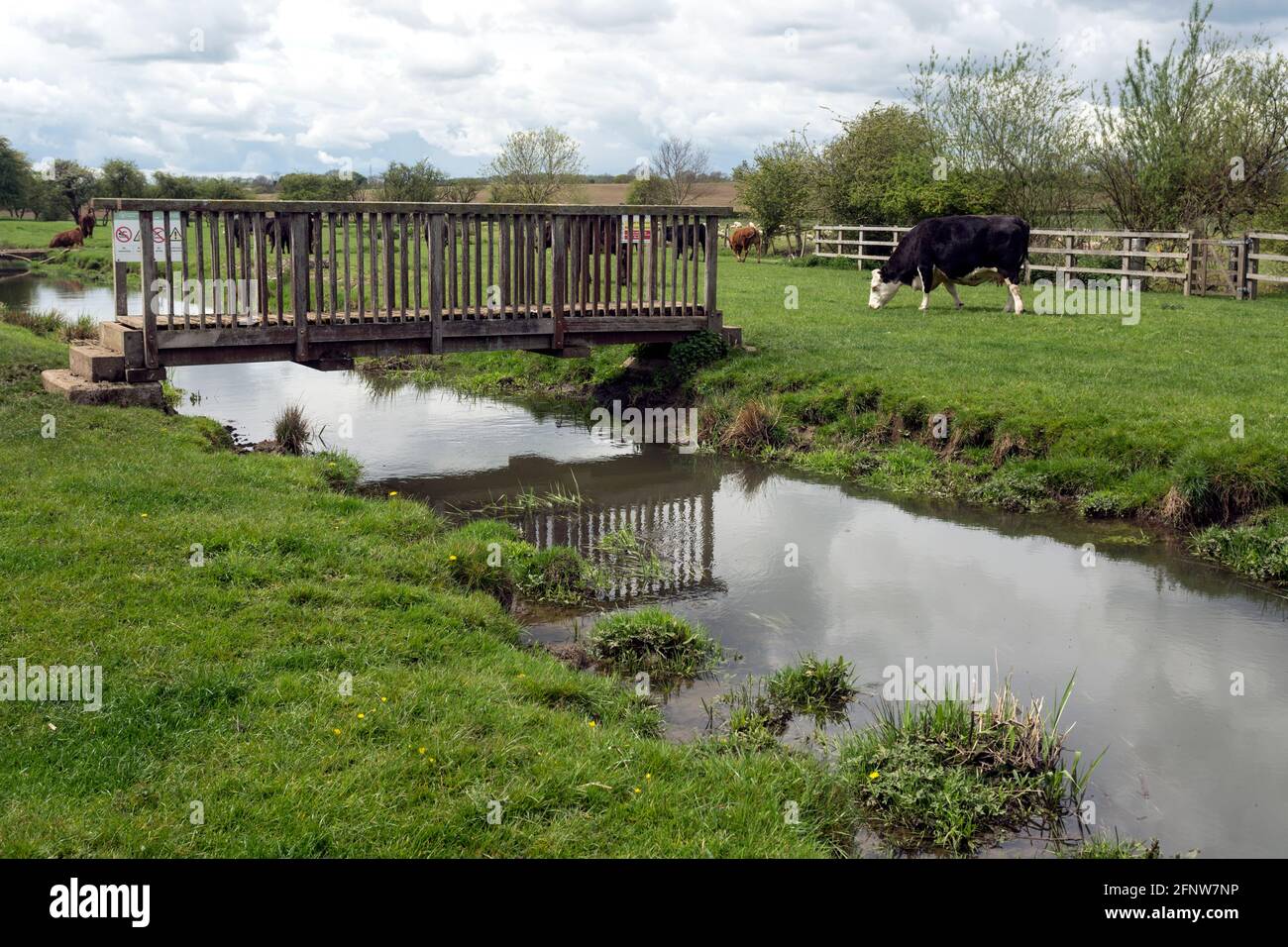 The River Swift at Churchover, Warwickshire, Inghilterra, Regno Unito Foto Stock