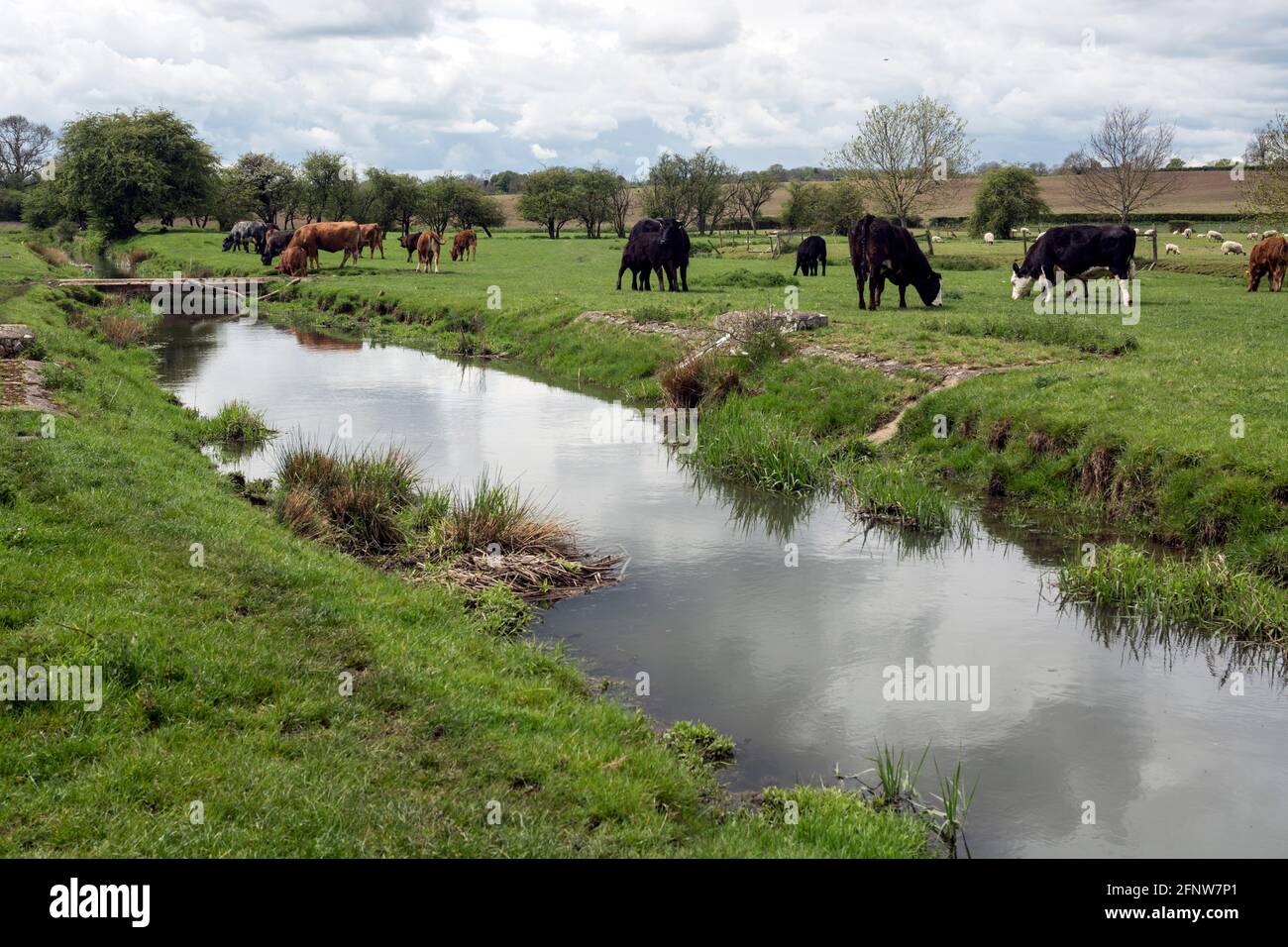 The River Swift at Churchover, Warwickshire, Inghilterra, Regno Unito Foto Stock