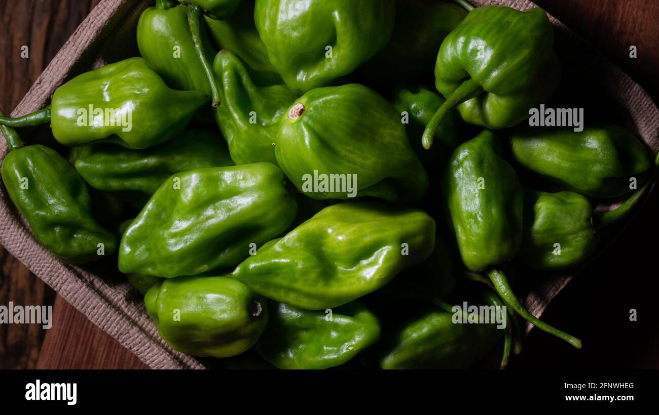 pimenta de cheiro, peperoncino Foto Stock