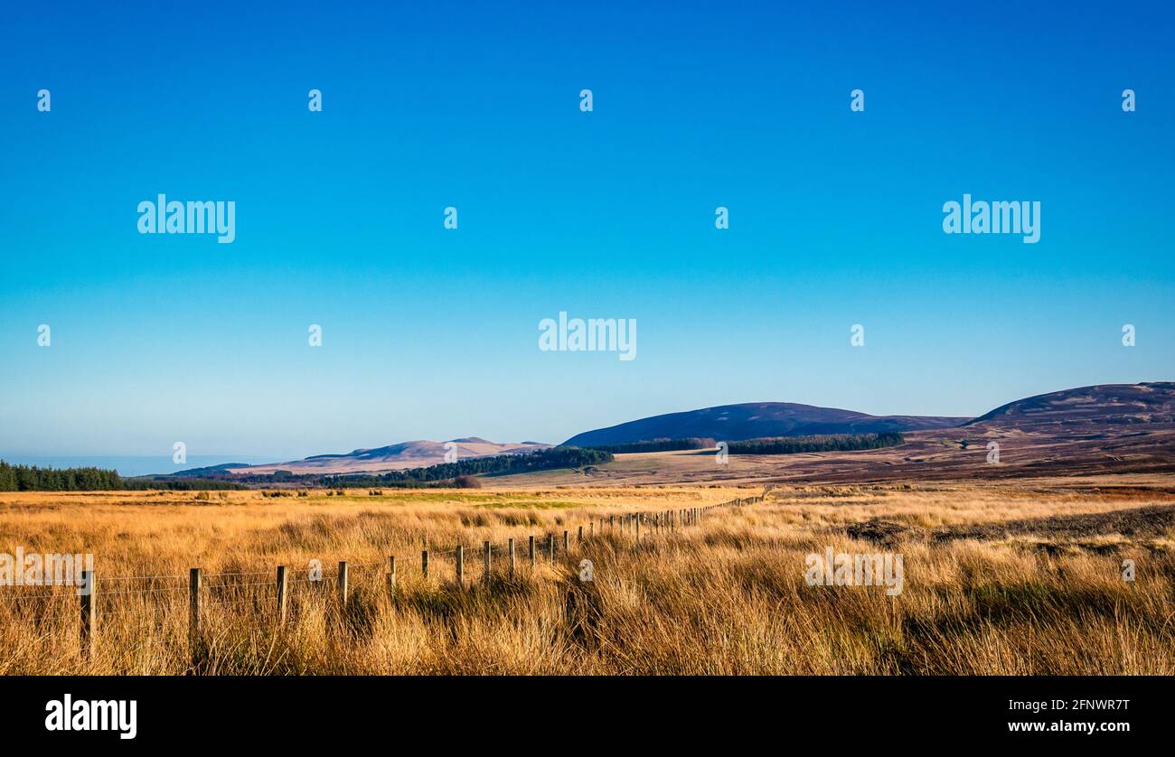 Vista sul paesaggio attraverso la brughiera fino a Pentland Hills, Scozia, Regno Unito, con il sole e un cielo blu limpido e senza nuvole in una giornata di sole Foto Stock